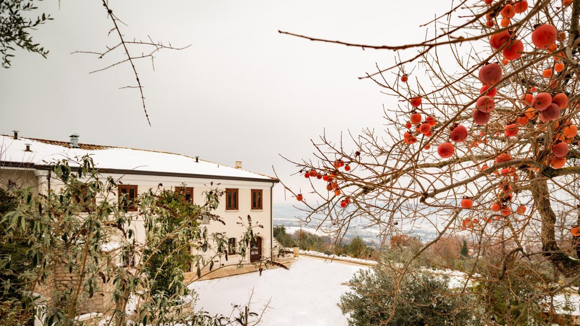 Il Mulino Della Signora Luxury Country House Frigento Exterior photo